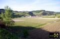 Der Kaiserstuhl in Baden-Württemberg, (D) (30) 10. Mai 2015 Blick ins Krottenbachtal.JPG